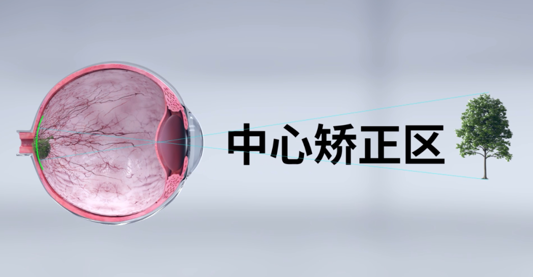 麻将胡了2(中国游)官方网站 - IOS/安卓通用版/手机APP下载